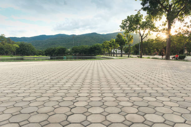 Best Luxury Driveway Paving Solutions in Oak Ridge, FL