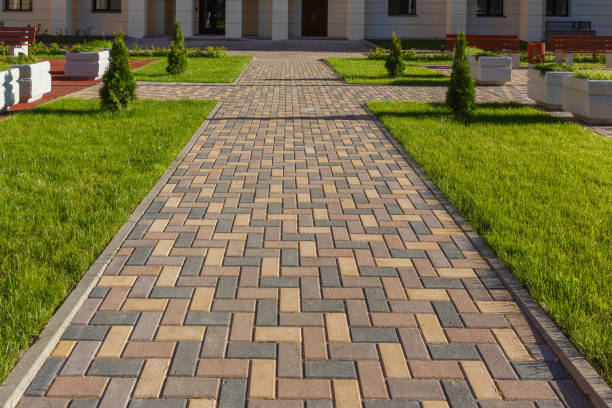 Best Driveway Paver Repairs and Restoration in Oak Ridge, FL